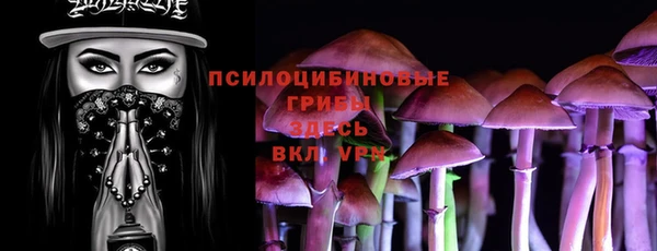 метадон Армянск