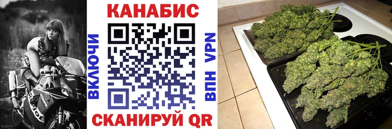 купить закладку  Старая Русса  Бошки марихуана SATIVA & INDICA 